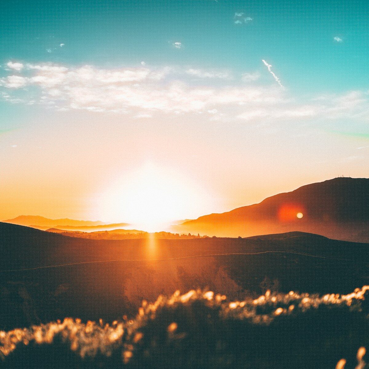 Quand colorier un mandala : matin, midi ou soir ?