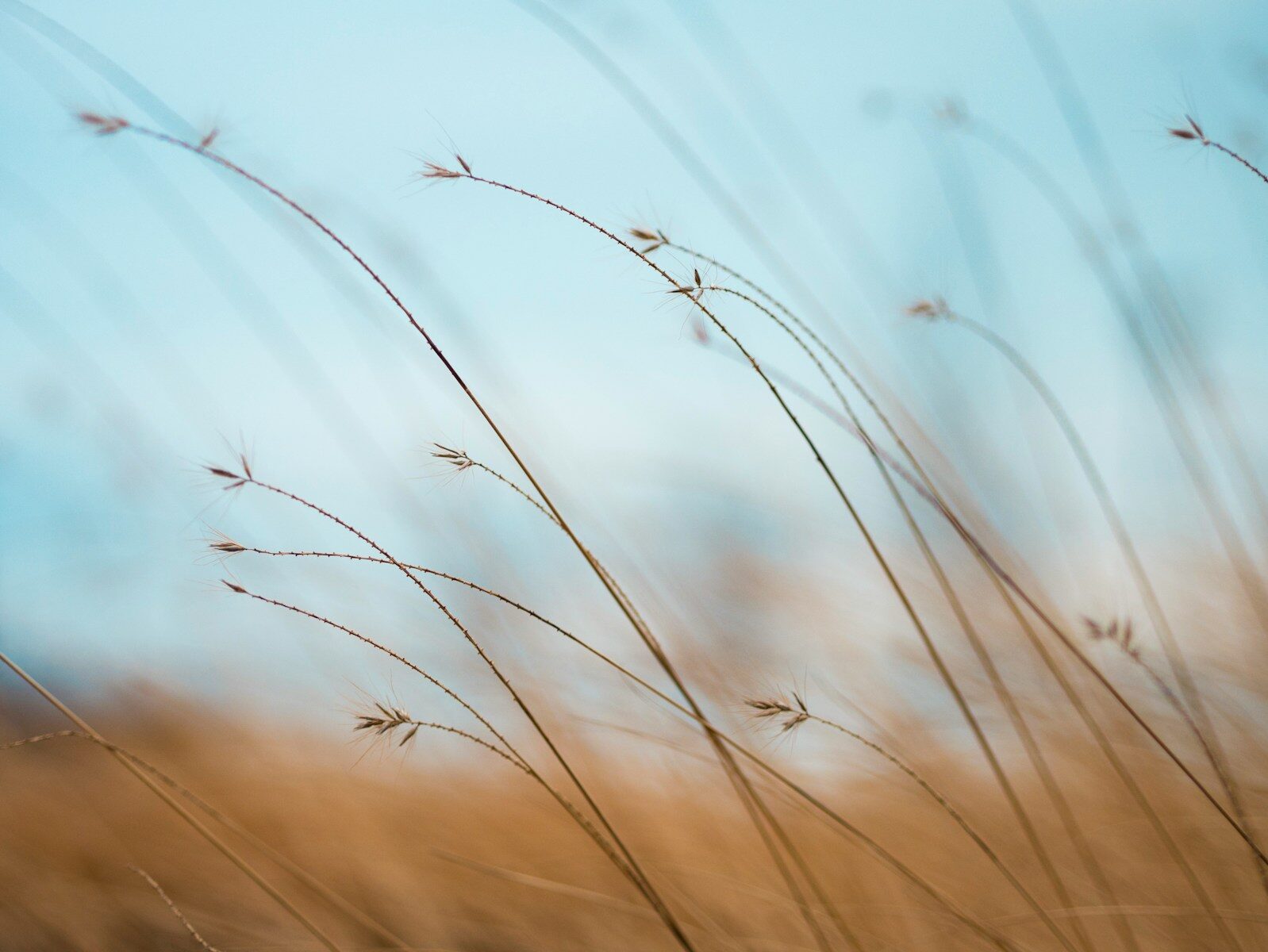 Comment ralentir quand on a l’impression de ne jamais avoir le temps ?